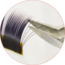 画像をギャラリービューアに読み込む, 3Dラッシュツイザー
